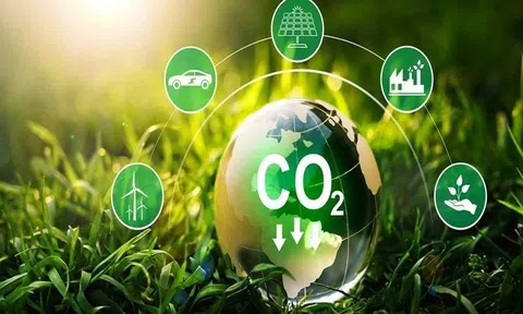 Hoàn thiện hành lang pháp lý để tín chỉ carbon có thể trở thành một loại tài sản bảo đảm