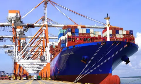 Xem xét các chính sách ưu đãi logistic cảng biển hỗ trợ doanh nghiệp xuất nhập khẩu