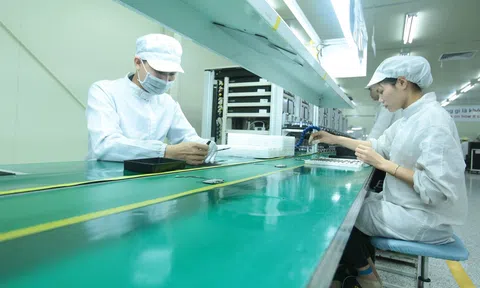 Liên kết chuỗi trợ lực cho doanh nghiệp vượt thách thức tăng sức cạnh tranh toàn cầu