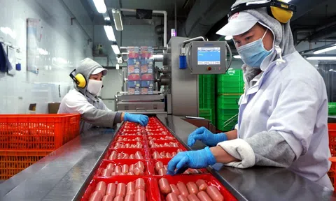 Tiếp tục gia hạn các chính sách thuế hỗ trợ doanh nghiệp khôi phục sản xuất