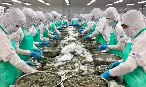 Doanh nghiệp gấp rút hoàn thiện đơn hàng xuất khẩu, chủ động thích ứng với chính sách mới