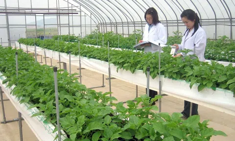 Định hướng cơ cấu lại ngành Nông nghiệp theo hướng 'nông nghiệp xanh, sản phẩm sạch, công nghệ cao'