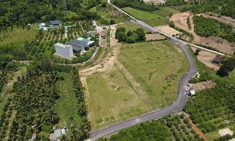 Đề nghị đánh giá việc thi hành và sửa đổi Luật Đất đai 2024 phù hợp với chính quyền 2 cấp