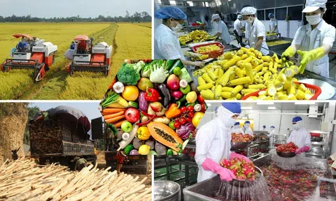 Chủ động ứng phó với biến động thương mại bảo đảm ổn định sản xuất, tiêu thụ nông lâm thủy sản