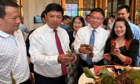 Khai thác tiềm năng 'thủ phủ sâm Ngọc Linh' khẳng định vị thế trung tâm công nghiệp dược liệu