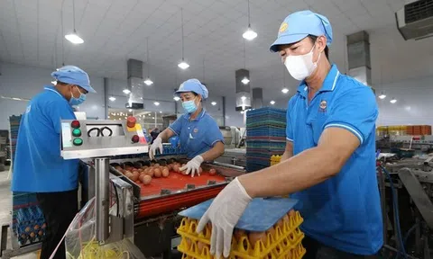 Nghị quyết 68 đang mở ra một chương mới cho kinh tế tư nhân Việt Nam bứt phá trong kỷ nguyên mới