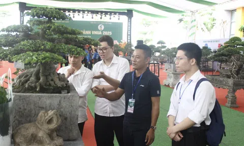 Bàn giải pháp đưa ngành hoa cây cảnh phát triển bền vững chiếm lĩnh thị trường tỷ đô