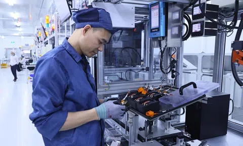 Cần xây dựng một môi trường kinh doanh cởi mở, minh bạch và công bằng cho mọi thành phần kinh tế