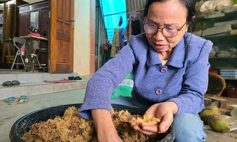 Cựu giáo viên ở tuổi 65 khởi nghiệp thành công với mô hình nuôi côn trùng đặc sản