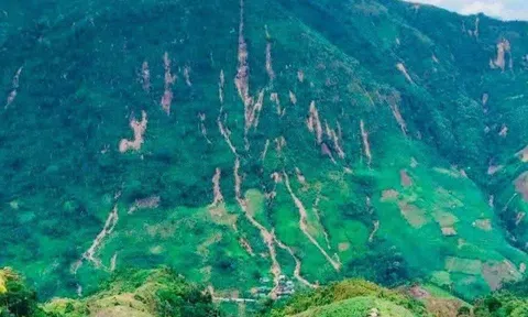 Nứt núi, hàng chục hộ dân tại Nghệ An được di dời khẩn cấp