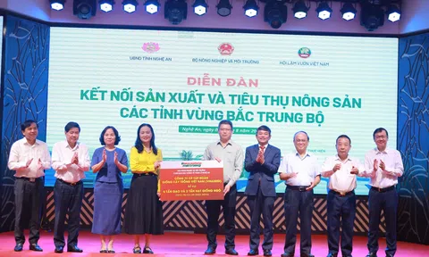 27 tấn gạo và giống ngô từ Diễn đàn Kết nối nông sản Bắc Trung bộ đến với người dân vùng lũ Nghệ An