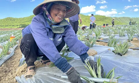 Bắc Trung Bộ cần thay đổi tư duy, khai mở tiềm năng phát triển nông sản