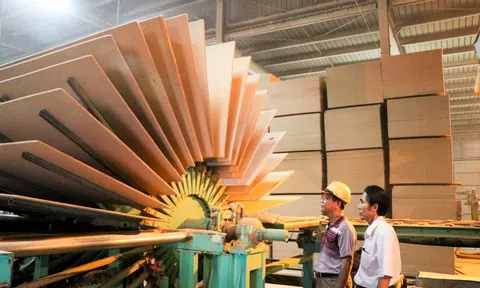 Doanh nghiệp Nghệ An ứng phó linh hoạt khi Mỹ áp dụng thuế 20%
