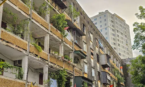 Nghệ An di dời khẩn cấp 1.300 người dân sống tại chung cư cũ tránh bão Kajiki