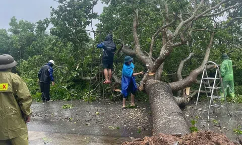 Nghệ An: Hàng loạt nhà tốc mái, cây bật gốc, cột điện gãy đổ do bão số 5