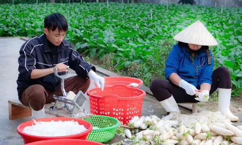 Thanh niên trẻ khởi nghiệp thành công nhờ sấy khô nông sản
