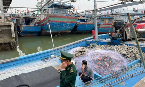 Nghệ An ra lệnh cấm biển để ứng phó với bão Bualoi