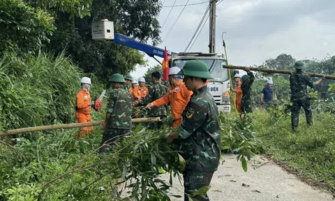 Điện lực Nghệ An huy động lực lượng khắc phục sự cố sau bão số 10