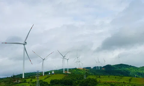 Quảng Trị phấn đấu trở thành trung tâm năng lượng tái tạo của miền Trung