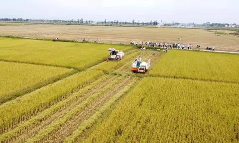 Xây dựng và phát triển nền Kinh tế xanh từ nông nghiệp hữu cơ