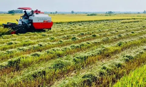 QTOrganic và định hướng phát triển nông nghiệp hữu cơ