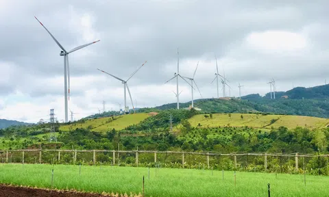 Ngành Công Thương với vai trò thúc đẩy phát triển kinh tế tỉnh Quảng Trị