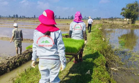 Quảng Trị: Gỡ khó cho Dự án Nhà máy sản xuất mạ khay và phân bón hữu cơ Hải Lăng