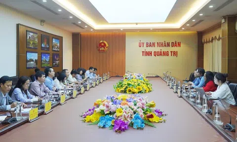 Tập đoàn VidaXL khảo sát, nghiên cứu đầu tư Tổ hợp nhà máy sản xuất, chế biến đồ gỗ tại Quảng Trị