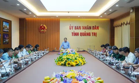 Quảng Trị triển khai các hoạt động phát triển lâm nghiệp bền vững năm 2023