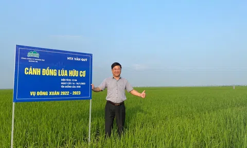 Kỹ sư Hồ Xuân Hiếu chia sẻ bí quyết ngăn chuột phá hoại ruộng lúa