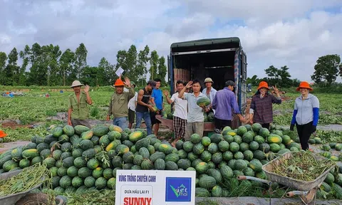 Hải Dương thực hiện tái cơ cấu ngành nông nghiệp theo hướng hiện đại, an toàn