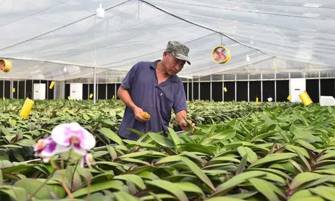 Áp dụng tối ưu khoa học công nghệ trong phát triển nông nghiệp