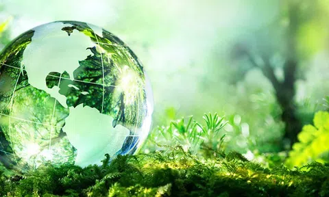 Bảo vệ môi trường trong hoạt động xây dựng