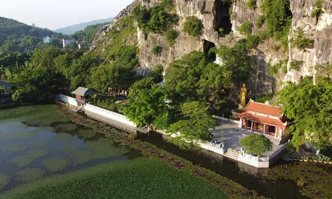 Thanh Hóa: Ngôi chùa đặc biệt mỗi ngày đón hàng trăm con khỉ "viếng thăm"