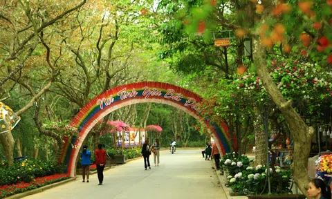 Bài 2: Sắc màu tạo sự đột phá cho du lịch biển Sầm Sơn