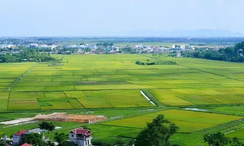 Giảm tiền thuê đất năm 2023 để hỗ trợ sản xuất kinh doanh