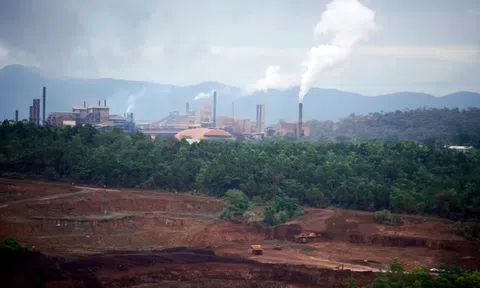 Hàng nghìn héc ta rừng tại Indonesia bị chặt phá vì... ô tô điện