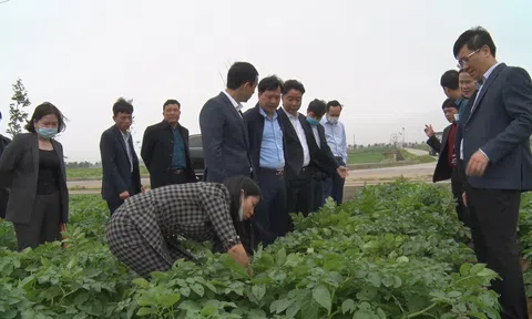 Hợp tác xã nông nghiệp gia tăng cả về chất lẫn lượng