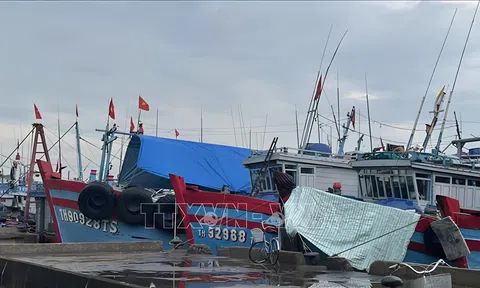 Tỉnh Thanh Hóa xử lý nhiều vụ vi phạm hành chính trong lĩnh vực khai thác thủy sản