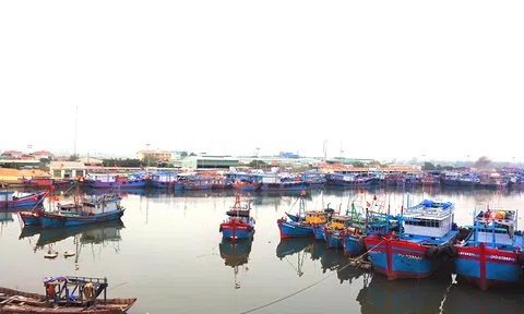 Ủy ban châu Âu đánh giá cao nỗ lực gỡ “thẻ vàng” IUU của Việt Nam