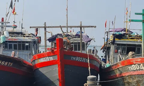 Thanh Hóa cùng cả nước gỡ “thẻ vàng” IUU - Bài 2: Nỗ lực khắc phục bất cập trong quá trình khai thác hải sản