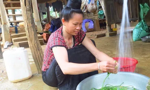 Tiếp nhận viện trợ 77.800 USD làm dự án nước sạch tại huyện Bá Thước