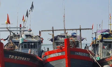 Thanh Hoá chung tay cùng cả nước gỡ “thẻ vàng IUU- Bài cuối: “Rào cản” pháp lý tái tạo sự đa dạng của môi trường biển