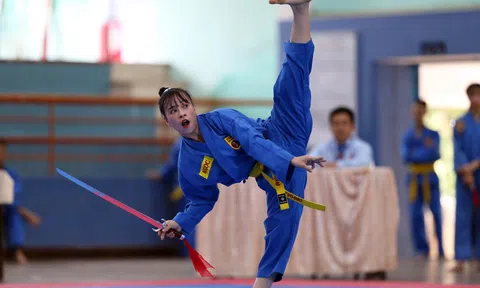 Vovinam được công nhận là Di sản văn hóa phi vật thể quốc gia