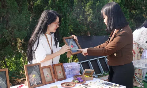 Nghệ nhân trẻ Kim Thoa – Người dệt nên ước mơ từ chiếc lá