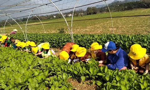 Nghị quyết “tam nông” từ lý luận đến thực tiễn – Bài 1: Khi chính sách bắt nhịp cùng cuộc sống vùng cao