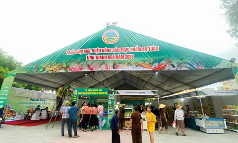 Nông nghiệp xứ Thanh kỳ vọng từ những mô hình cho thu nhập 500 triệu đồng/ha