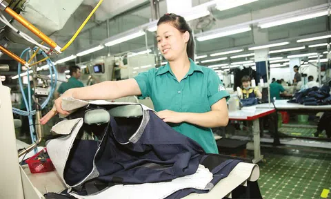 Hơn hơn 1.000 doanh nghiệp xứ Thanh tạm dừng hoạt động trong năm 2023