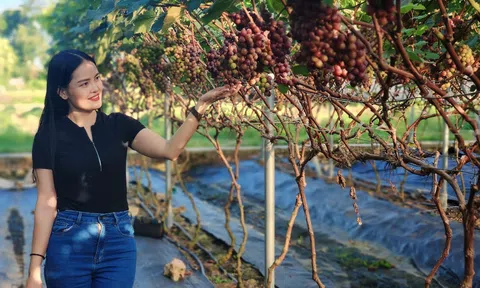 Xanh hóa ngành công nghiệp “không khói” từ du lịch từ nông nghiệp nông thôn