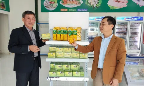Thanh Hóa: Công nhận 10 sản phẩm công nghiệp nông thôn tiêu biểu